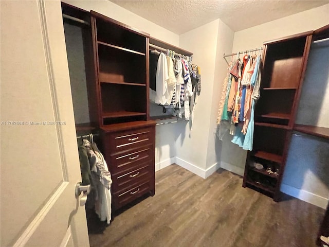 spacious closet with wood finished floors