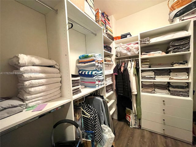 spacious closet with dark wood-style floors