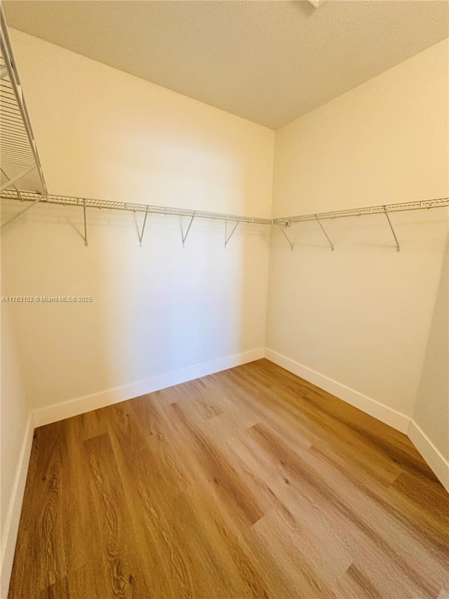 walk in closet with light wood-style floors