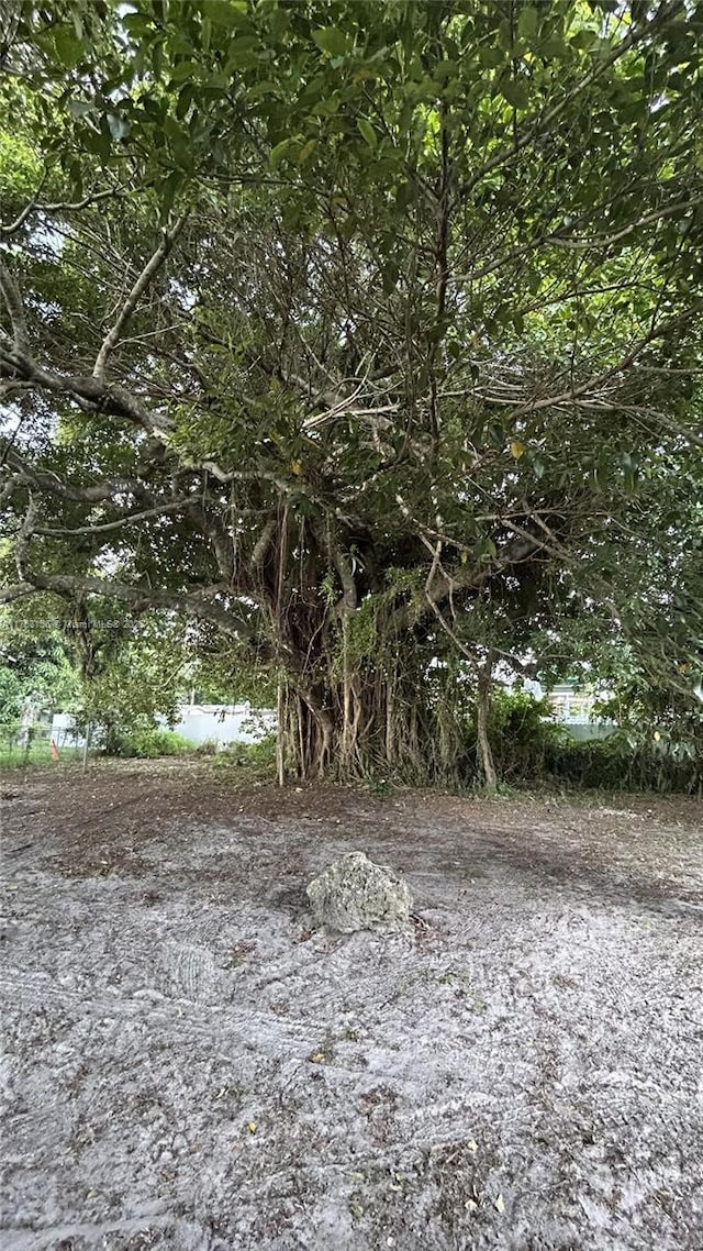 205 Seaman Ave, Opa-Locka, FL 33054 - view of landscape