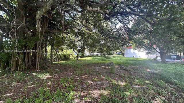 205 Seaman Ave, Opa-Locka, FL 33054 - view of yard