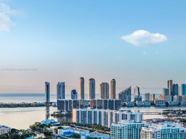 city view featuring a water view