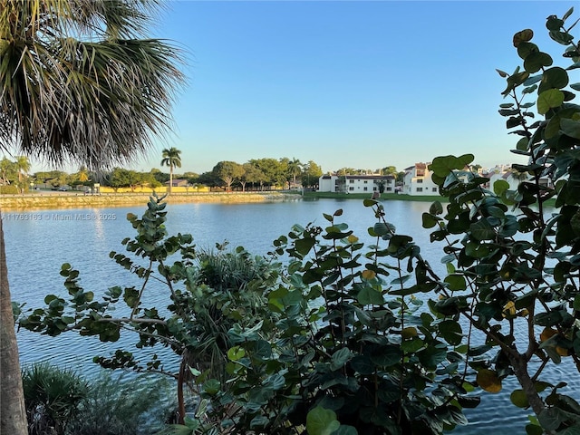 view of water feature