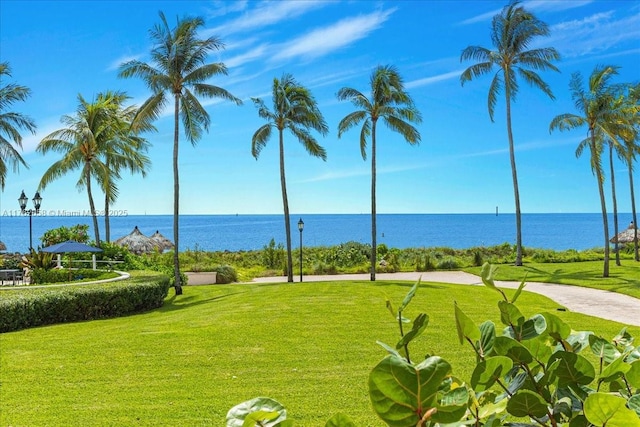 view of home's community featuring a water view and a lawn