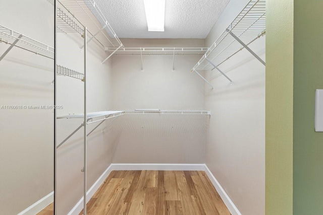 walk in closet with light wood-type flooring