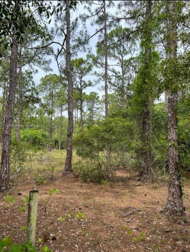 2001 Panama Ave, Clewiston, FL 33440