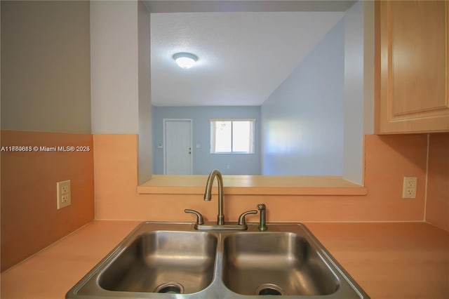 kitchen featuring light countertops and a sink