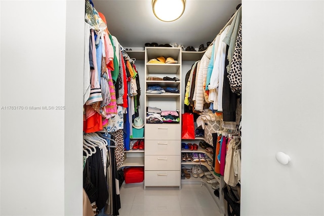 view of spacious closet