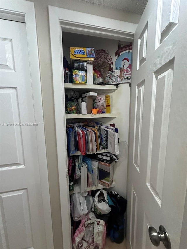 view of closet