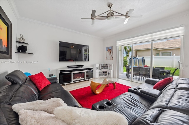 living area featuring a ceiling fan, a fireplace, wood finished floors, and crown molding