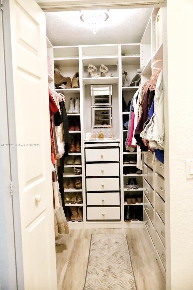 spacious closet featuring wood finished floors