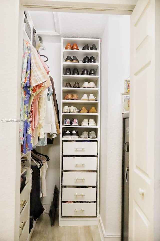 8879 Chestnut Ridge Way, Boynton Beach, FL 33473 - view of closet