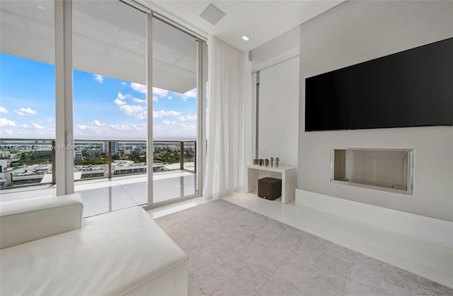 unfurnished living room featuring carpet floors and expansive windows