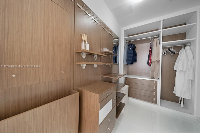 view of walk in closet