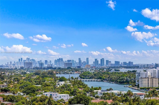 city view featuring a water view