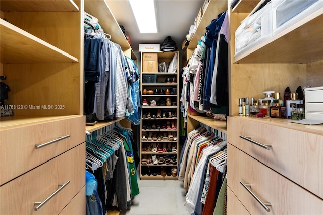 view of walk in closet