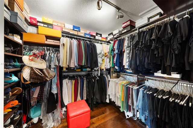 walk in closet featuring wood finished floors