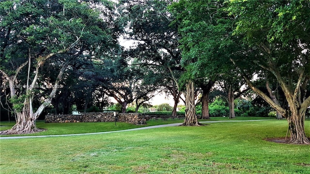 view of home's community featuring a yard