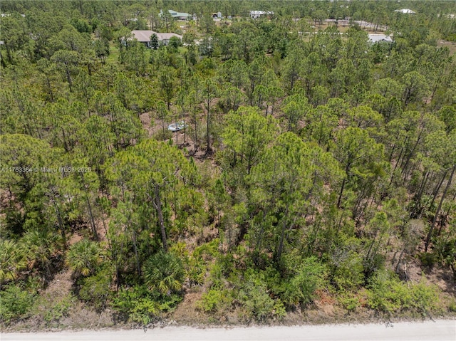 8158 Gewant Blvd, Punta Gorda, FL 33982 - photo 2