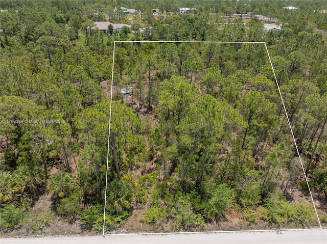 8158 Gewant Blvd, Punta Gorda, FL 33982 - photo 3