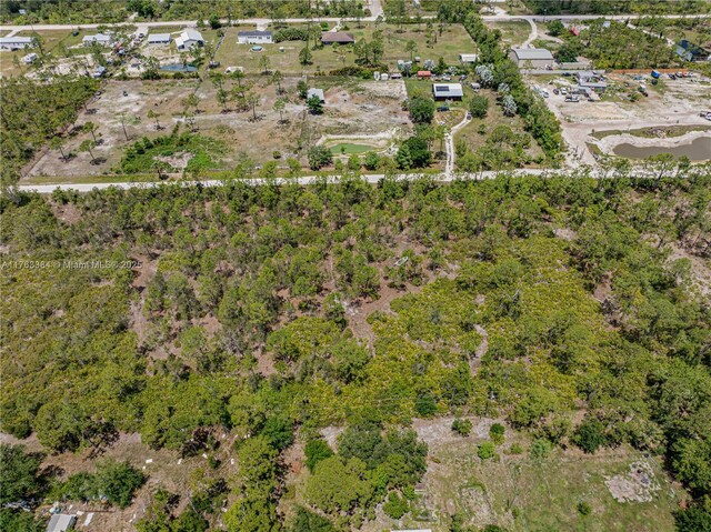 8158 Gewant Blvd, Punta Gorda, FL 33982 - photo 10