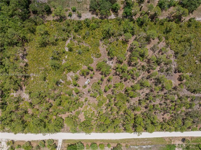 8158 Gewant Blvd, Punta Gorda, FL 33982 - photo 16