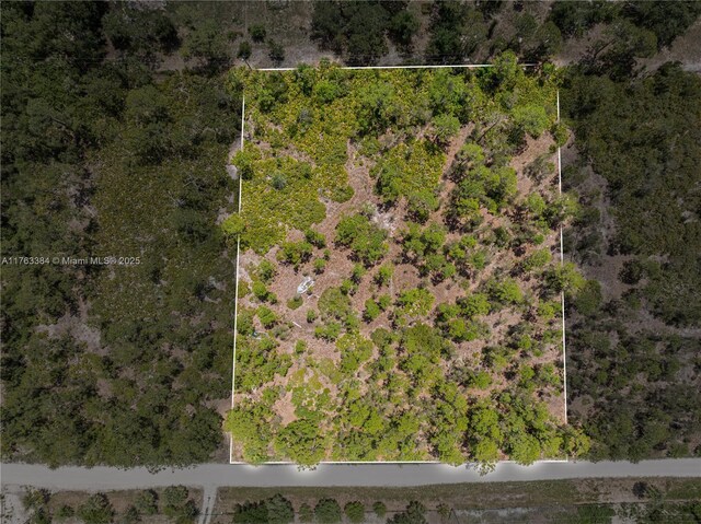 8158 Gewant Blvd, Punta Gorda, FL 33982 - photo 17