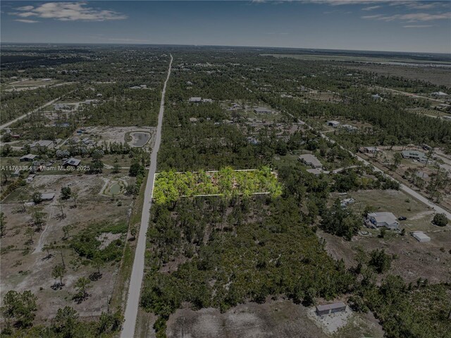 8158 Gewant Blvd, Punta Gorda, FL 33982 - photo 21