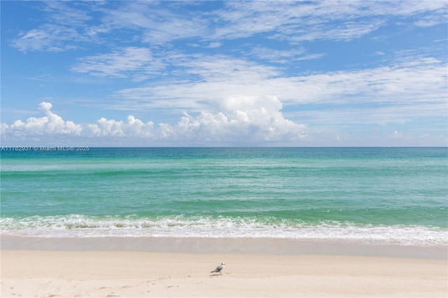 property view of water with a beach view