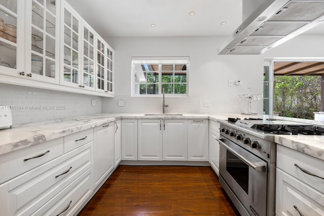 kitchen featuring range hood, light stone counters, a sink, decorative backsplash, and high end stove