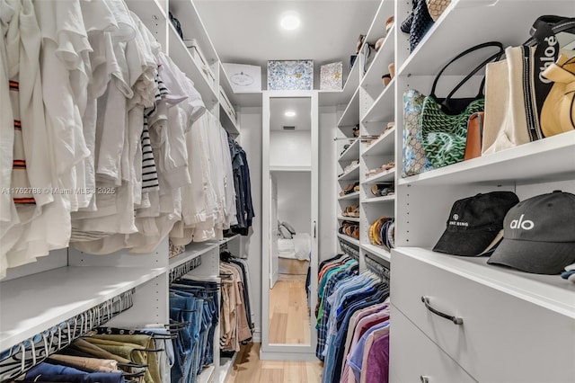 walk in closet featuring wood finished floors