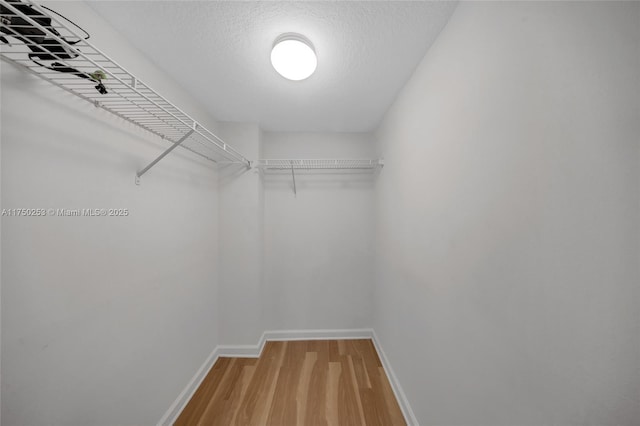 walk in closet with light wood-style floors