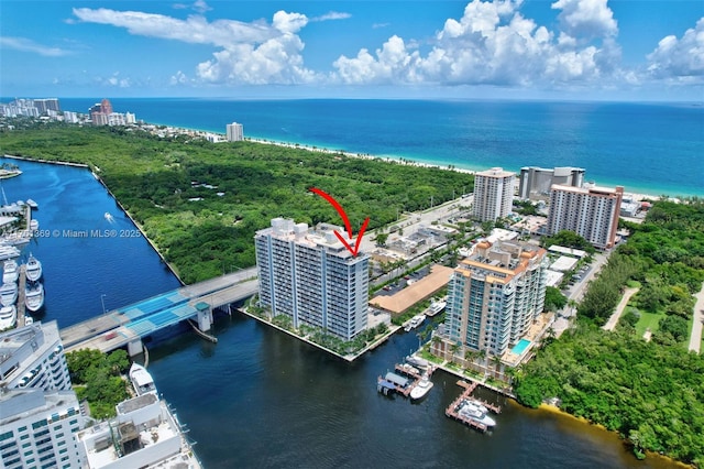 aerial view with a city view and a water view