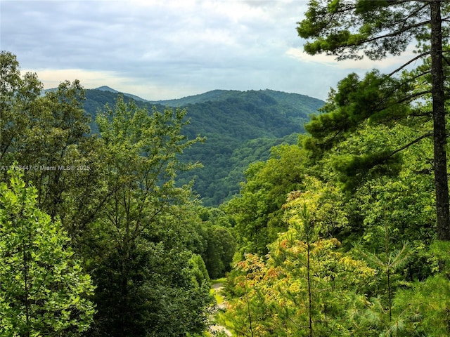 view of mountain feature with a view of trees