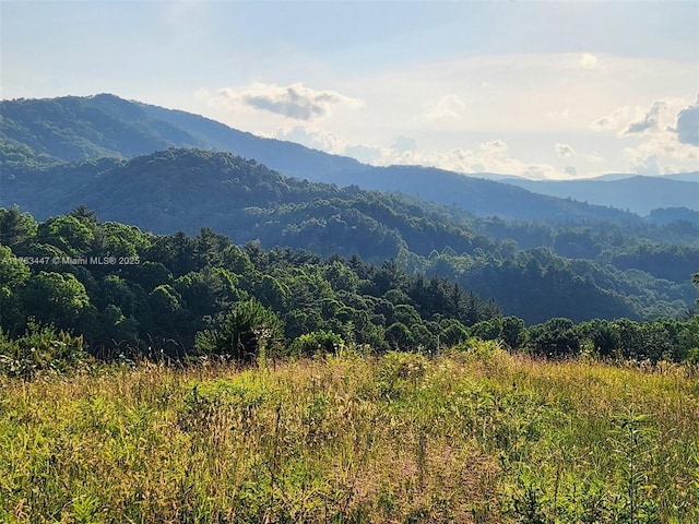 property view of mountains with a wooded view