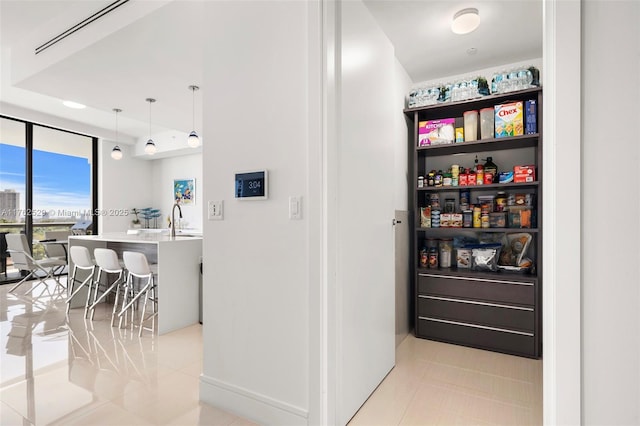 pantry with a sink