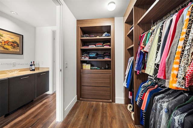 spacious closet with dark wood finished floors