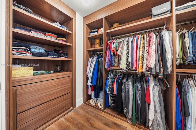 spacious closet featuring wood finished floors