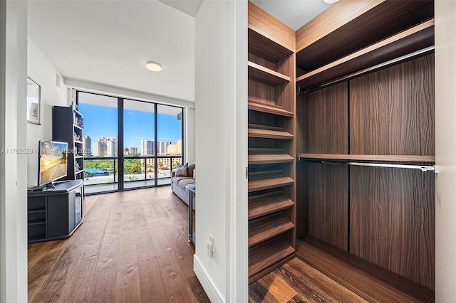 walk in closet featuring hardwood / wood-style flooring