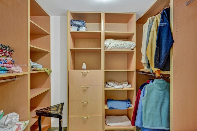 view of spacious closet