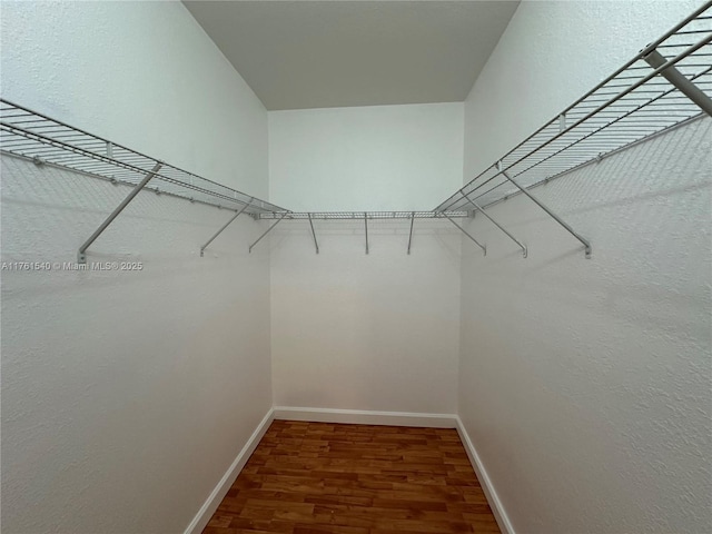 spacious closet featuring wood finished floors