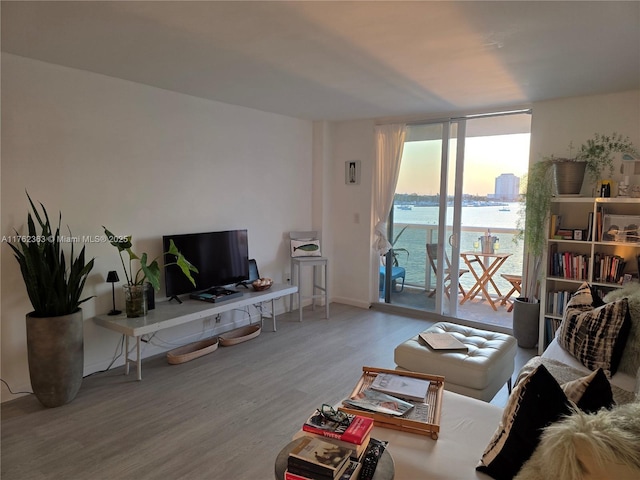 living area featuring wood finished floors and floor to ceiling windows