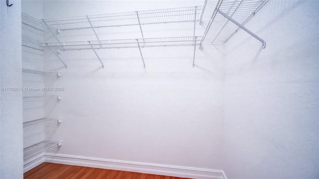 spacious closet featuring wood finished floors