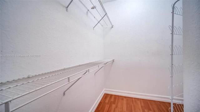 spacious closet featuring light wood-type flooring