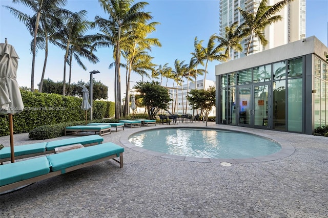 view of swimming pool with a patio