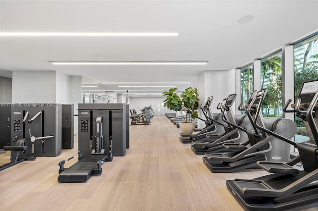 workout area featuring a wall of windows and wood finished floors