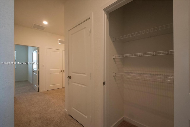 view of closet