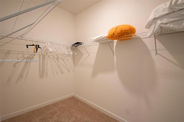 spacious closet featuring lofted ceiling and carpet floors