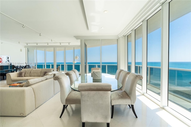 sunroom with rail lighting and a water view