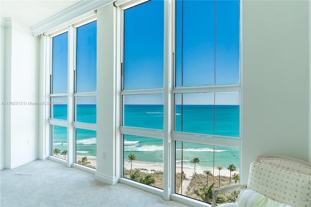 interior space featuring carpet, baseboards, ornamental molding, a water view, and a beach view